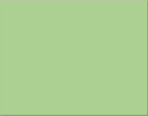 Pacon 54511 Peacock Four-Ply Railroad Board, 22 x 28 Inches, Light Green