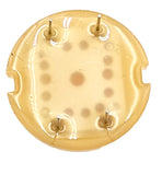 20mm Big Dome  LED, Amber Color, 30–45 mcd Luminous Intensity, 4 Pin DIP Socket
