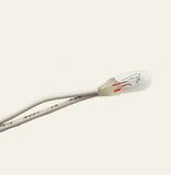 12V Incandescent  Lamp with 6" Leads