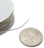 20 Gauge Copper Wire with Silver-Colored Tin Coating, 100 Foot Spool