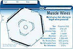 LOW TEMP  MUSCLE WIRES 25 Superfine